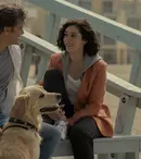 Fatal Attraction, SkyShowtime. Tot ce știm despre serialul cu Joshua Jackson și Lizzy Caplan