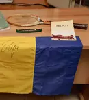 „Grijă pentru nou-născuți”, campanie umanitară a Fundației Ringier pentru achiziționarea unui sistem de livrare a oxidului nitric. Naiul lui Gheorghe Zamfir și racheta lui Ilie Năstase, licitate duminică într-un eveniment caritabil