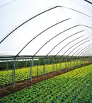 Grădinăritul inteligent: Cum să alegi cele mai bune articole și unelte pentru grădina ta