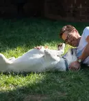 9 filme cu câini simpatici pe care le poți vedea pe Netflix