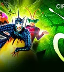 OVO – spectaculosul Cirque du Soleil – vine în București!