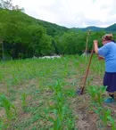 Asta-i România!, 25 iunie 2023. Un vis îndepărtat pentru un cătun izolat din țara noastră