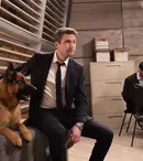 Serialul polițist Hudson și Rex, în premieră la TVR 2. Programul de difuzare