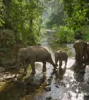 Premierele lunii august 2023 la National Geographic și National Geographic Wild