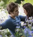 Stephenie Meyer a rescris „Saga Amurg”