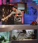 Bordea a plecat din spital pe semnătură, ca să prezinte "iComedy"