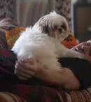 „Şapte psihopaţi şi un câine”/ „Seven Psychopaths” (2012)