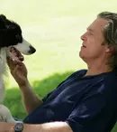 Un an cu un câine
