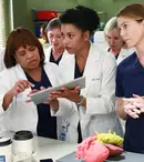 „Anatomia lui Grey”, „O familie modernă” şi „Scandal” au primit sezoane noi