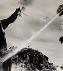 King Kong și Godzilla sunt așteptați în același film