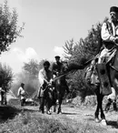 În timp ce Ursul de Aur e în cinematografe, Ursul de Argint e pe Netflix! „Aferim!” e disponibil pe platformă