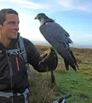 “Aventuri în Marea Britanie cu Bear Grylls” se vede la BBC Earth
