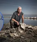 O echipă Animal Planet a salvat un naufragiat