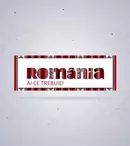 De 1 decembrie, la ProTV, „România, ai ce trebuie!”. Ce programe puteți vedea