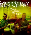 Sting și Shaggy lansează single-ul „Don’t Make Me Wait”
