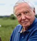 Sir David Attenborough se întoarce la BBC cu „Dynasty”