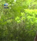 Zanni revine în forță înainte de cea de-a doua semifinală „Survivor România”! Ce se întâmplă în ediția de vineri