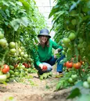 Mihaela Bilic își construiește o cabană. Noi imagini cu locuința din mijlocul pădurii. „Avem nevoie de foarte puțin ca să fim fericiți”