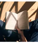 3 cărți scrise de Colleen Hoover pe care le poți comanda de la BOOKZONE