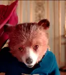 Ursulețul Paddington, tribut emoționant adus reginei Elisabeta a II-a. Mesajul a devenit viral  în timp record