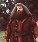 Actorul care îl va interpreta pe Hagrid în serialul „Harry Potter”. Cine îi va lua locul regretatului Robbie Coltrane