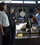 CSI: Vegas, unul dintre cele mai populare seriale crime drama din întreaga lume, în premieră exclusivă la AXN