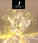 „Lumières d´Europe” la Bucuresti: concerte si conferinte cu instrumentisti de prestigiu din Europa