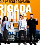„Brigada Nimic”, toate detaliile despre noua comedie de la Pro TV. Când e premiera serialului românesc