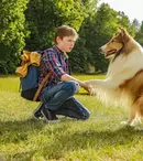 Ce filme în premieră la TV aduc spiritul Crăciunului pe FilmBox Premium. Lista completă și programul de difuzare