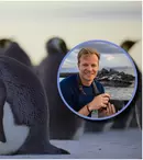 „Secretele pinguinilor”, documentarul prezentat de Bertie Gregory, de Ziua Pământului 2025. Unde îl poți vedea