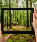 Documentarele despre natură, mai spectaculoase ca niciodată: 3 producții pe care să nu le ratezi