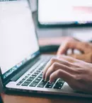 Ce joburi au căutat românii în 2025: șoferii sunt lideri de categorie. Joburile de contabil, asistent medical și operator call-center, următoarele în lista de preferințe ale candidaților