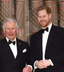 Prințul Harry, atac subtil la adresa Regelui Charles. Declarația care a lăsat pe toată lumea mască: „Copiii sunt un upgrade”