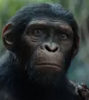 Franciza de 2 miliarde de dolari continuă: Un nou film „Planeta Maimuțelor” e oficial în lucru. Ce știm despre proiect