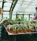 Angajatorii încep să posteze joburi pentru vară. Domeniile cu cele mai multe poziții deschise sunt retailul, construcțiile, industria alimentară / HoReCa și turismul