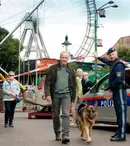 Noul serial „Comisarul Rex” ajunge la TVR! Se filmează deja sezonul 2 din „Rex – Vienna Calling”