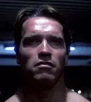 Terminatorul