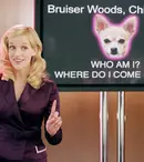 Blonda de la Drept 2