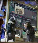 G-Force: Salvatorii planetei