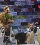 Cosmin Seleși prezintă, în această seară, “iComedy” 