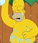 VIDEO: Ice Bucket Challenge a ajuns în Springfield