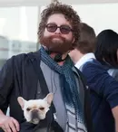 Zach Galifianakis se mută pe micul ecran, cu serialul „Baskets”