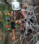Pro TV va face o emisiune în Africa de Sud: „I’m a celebrity, get me out of here”