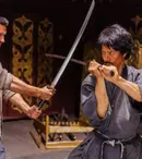 Ninja: Răzbunarea