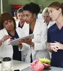 „Anatomia lui Grey”, „O familie modernă” şi „Scandal” au primit sezoane noi
