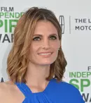 Stana Katic negociază pentru sezonul 8 din „Castle”