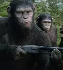 Planeta maimuțelor: Revoluție (2014). Tot ce trebuie să știi despre filmul nominalizat la Oscar