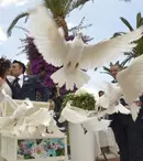 TLC prezintă: „Nunți de italieni”