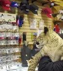 Un nou sezon „Războiul transportatorilor” începe la HISTORY