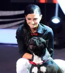 Continuă spectacolul animalelor la „Ham Talent”!